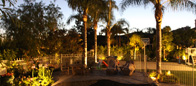 Custom Outdoor Landscape Lighting