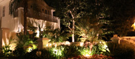Custom Outdoor Landscape Lighting