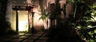 Custom Outdoor Landscape Lighting